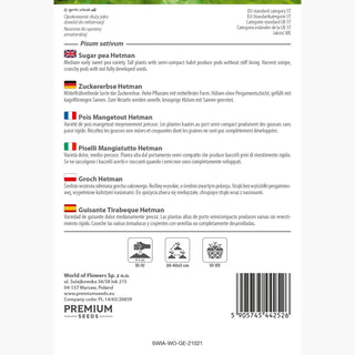 Pois Mangetout Hetman - Gousses délicates et juteuses, parfaites pour salades ! - Pisum sativum