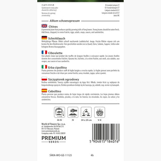 Ciboulette - Goût délicat, facile à cultiver et résistante au gel