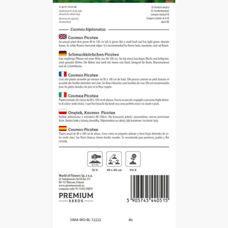 Cosmos - Picotee - Ornement distinctif pour le jardin ! - Cosmos bipinnatus