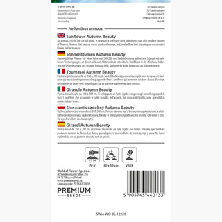 Tournesol - Autumn Beauty - Folie florale ! - Helianthus annuus