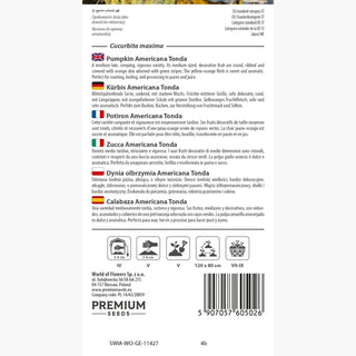 Potiron - Americana Tonda - Rendement impressionnant, idéal pour les amateurs de géants