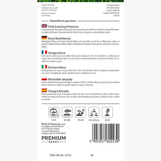 Onagre Rose - Floraison abondante et prolongée, parfum délicat - Oenothera speciosa