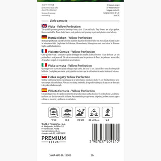 Violette Cornue - Yellow Perfection - Accent ensoleillé pour les massifs - Viola cornuta