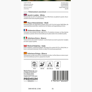 Polémoine bleue - Blanc - Décoration naturelle et romantique des jardins - Polemonium caeruleum